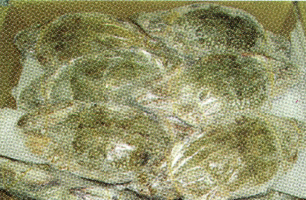 Frozen Raw Whole Blue Swimmer Crabs