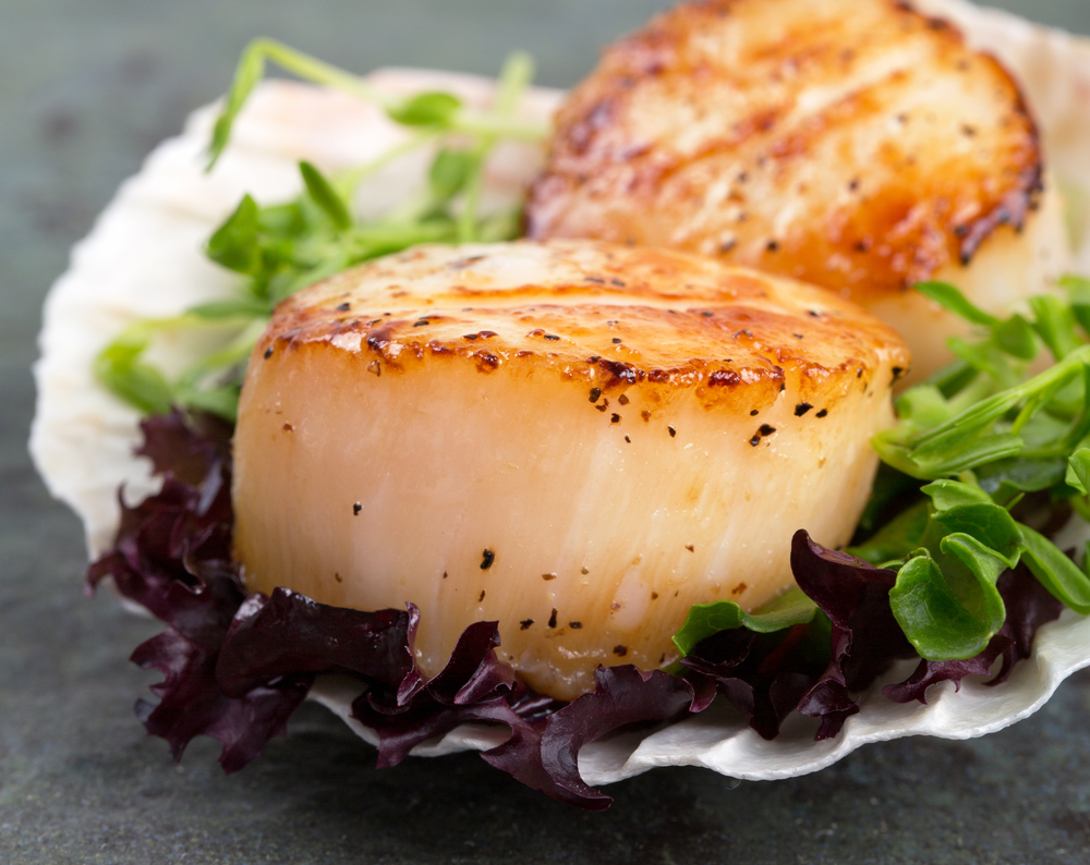 Frozen Raw Scallops
Available in Half-shell 

Sizes: Various