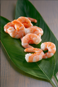 Cooked Prawn Meats